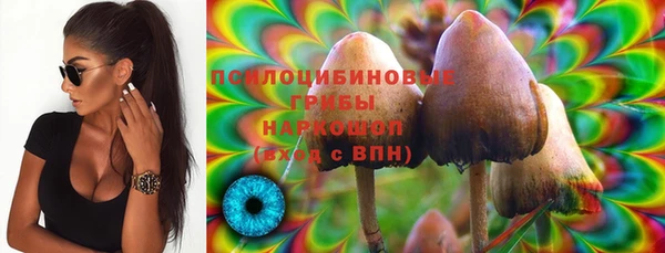 скорость Бронницы