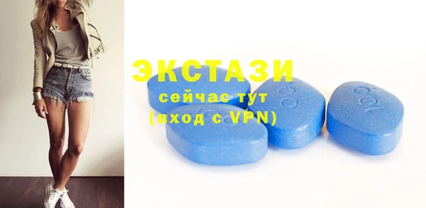 крисы Надым