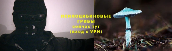 кокс Михайлов