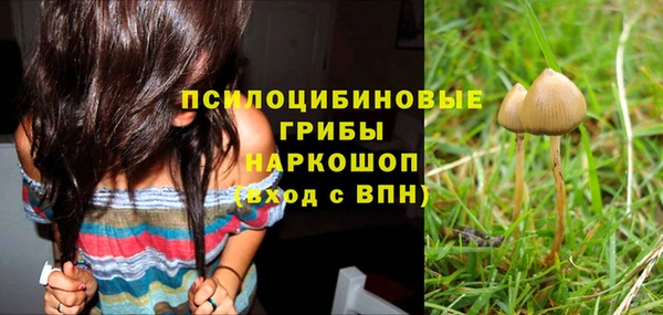 спайс Михайловка