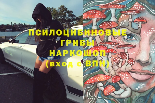 крисы Надым