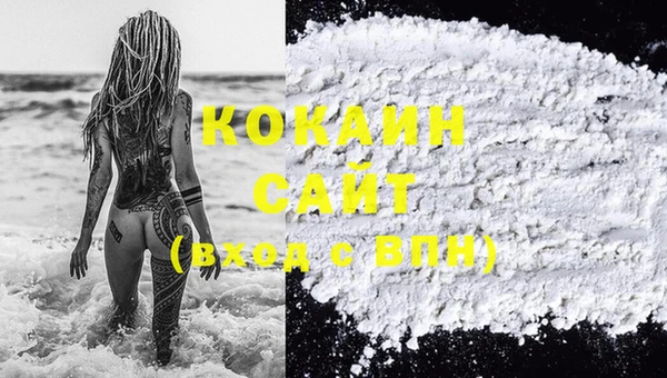 крисы Надым