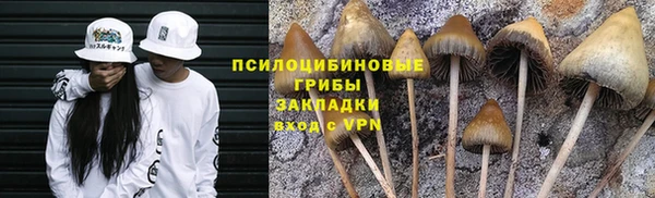 ECSTASY Навашино