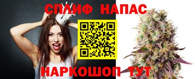 сатива Канаш