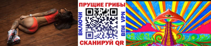 Псилоцибиновые грибы Cubensis  Рассказово 