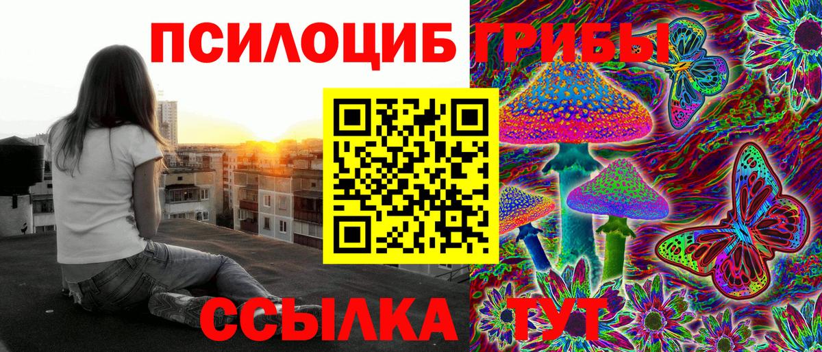 Рассказово  Псилоцибиновые грибы мицелий  Вход с VPN 